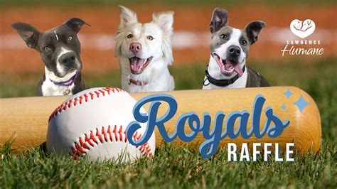 kc royals 50/50 raffle|We have a winner for .